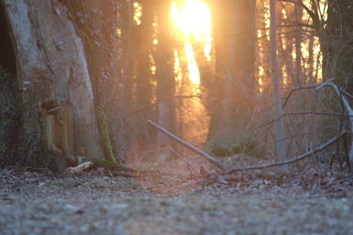 34924346082_5418d2b44e_o_d