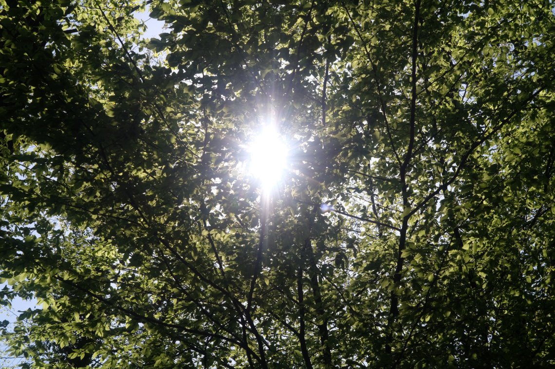 40742141605_de4f772aa6_k_d