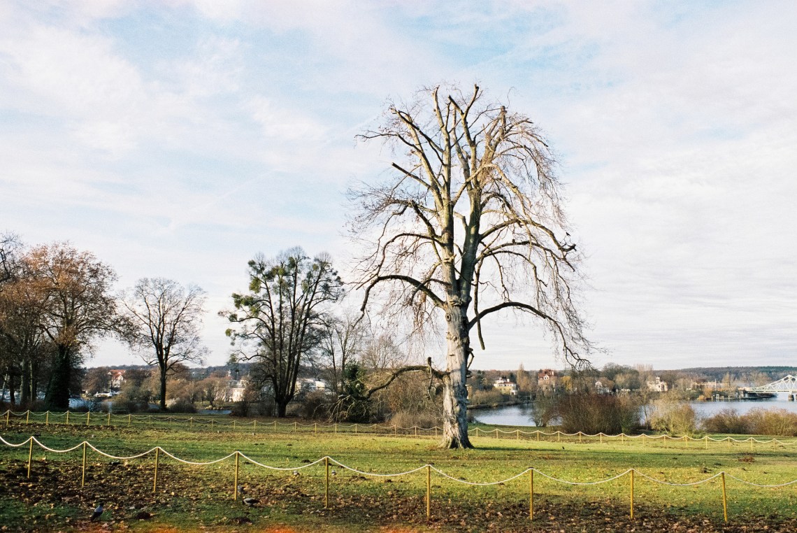 43022385615_6ea9b7d571_k_d